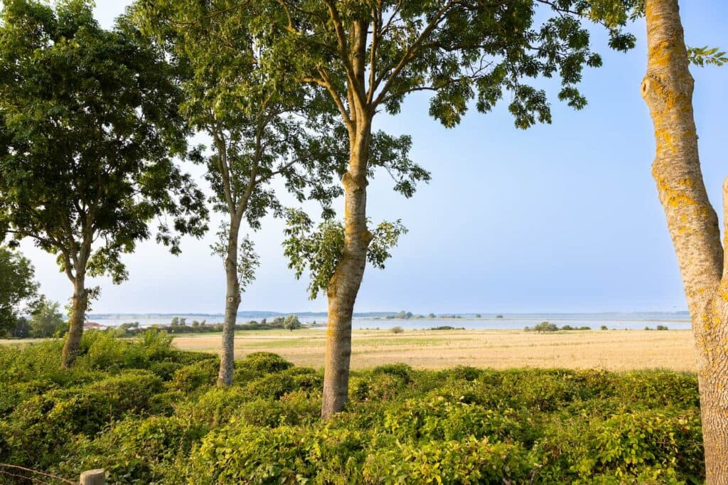 Cykling längs Isefjord och Roskilde Fjord i Danmark