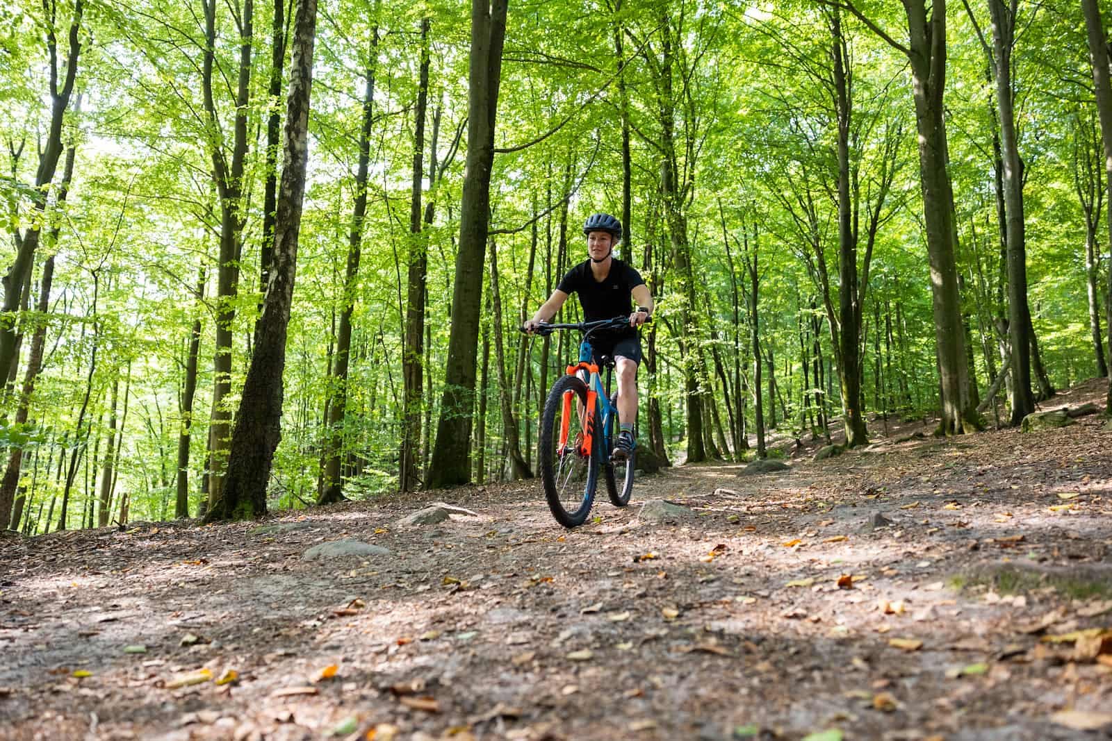 MTB-cykling nära First Camp Röstånga och Söderåsen