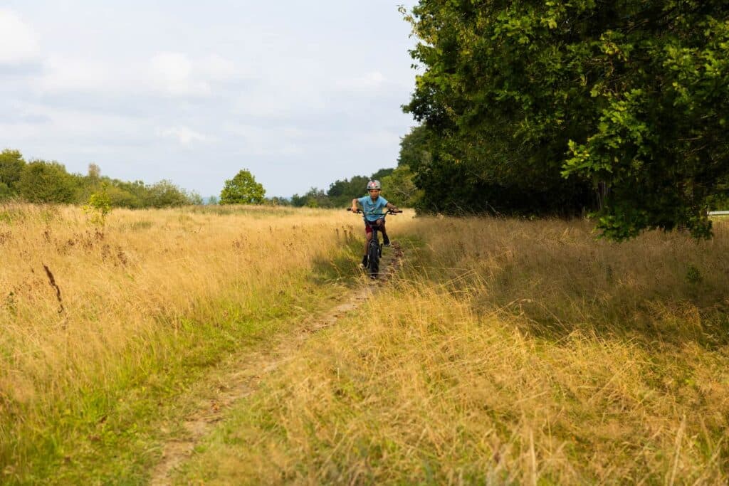 Cykling längs Cykelleden Skåne genom det skånska landskapet