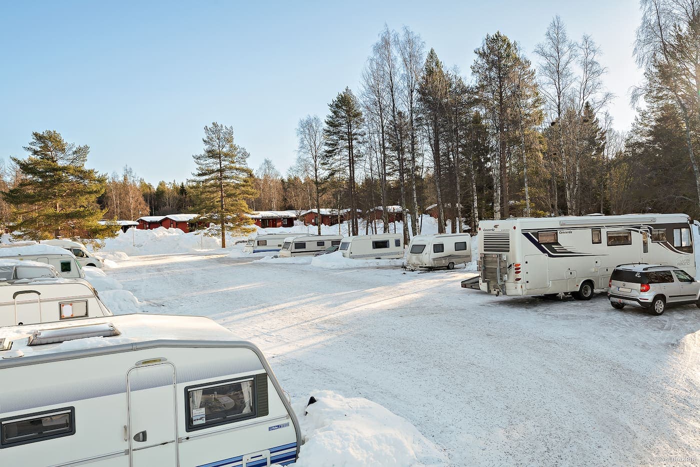 umeå vinter