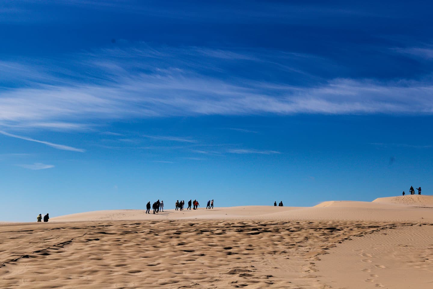 Råbjerg Mile - Skagen, camping i Nordjylland
