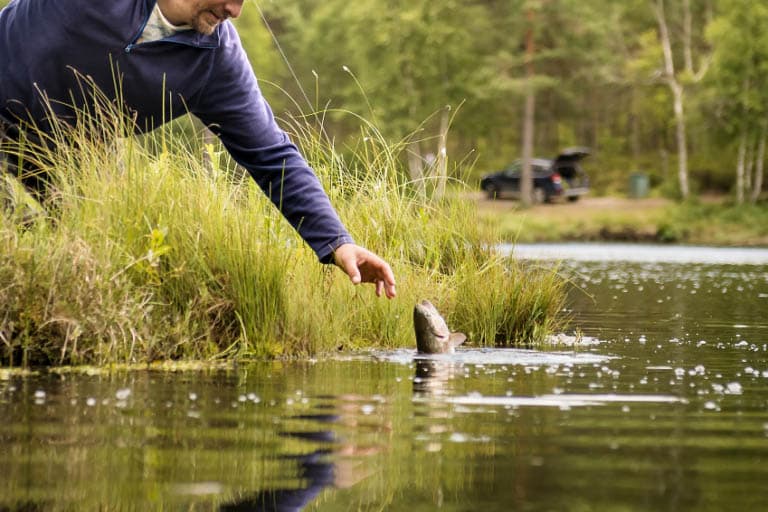 Hökensås fiske