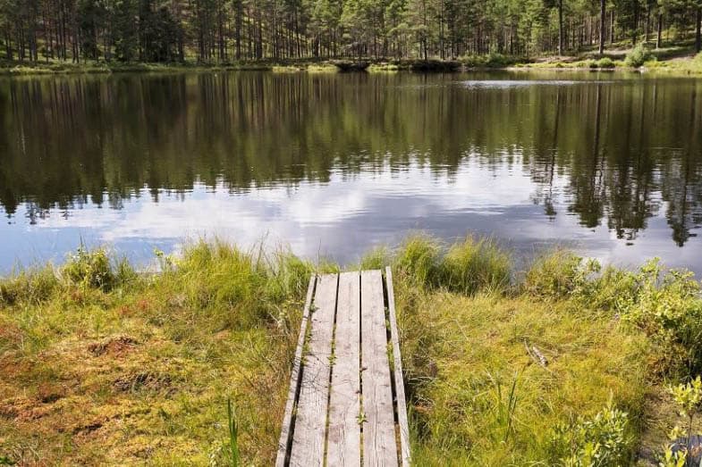 Hökensås vatten - campa på höstlov