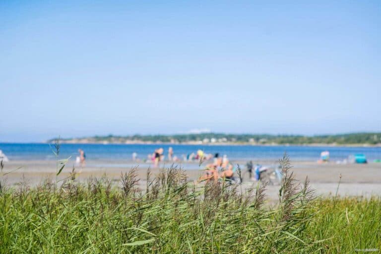 Kärradal strand, camping i Varberg