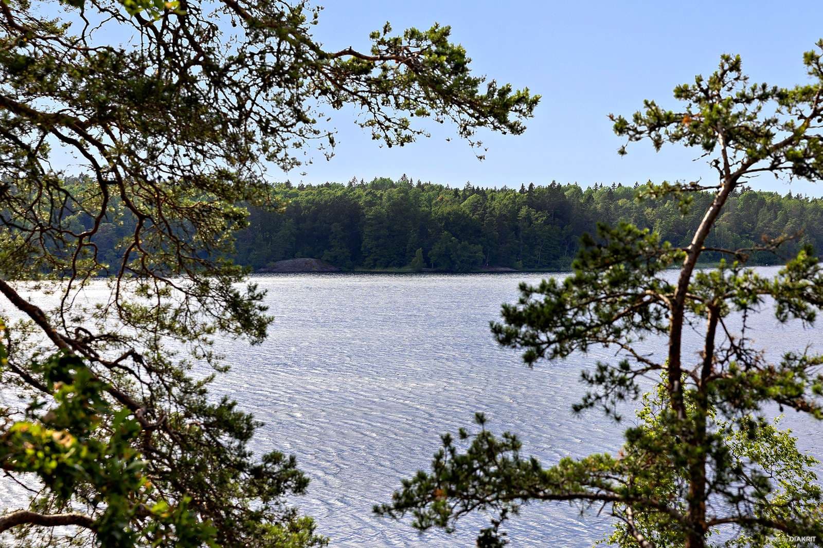 City Stockholm utsikt över vattnet och med natur.