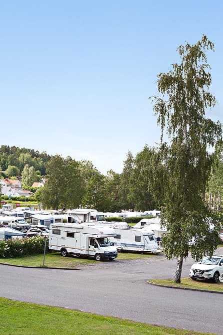 Kolmården - norrköping