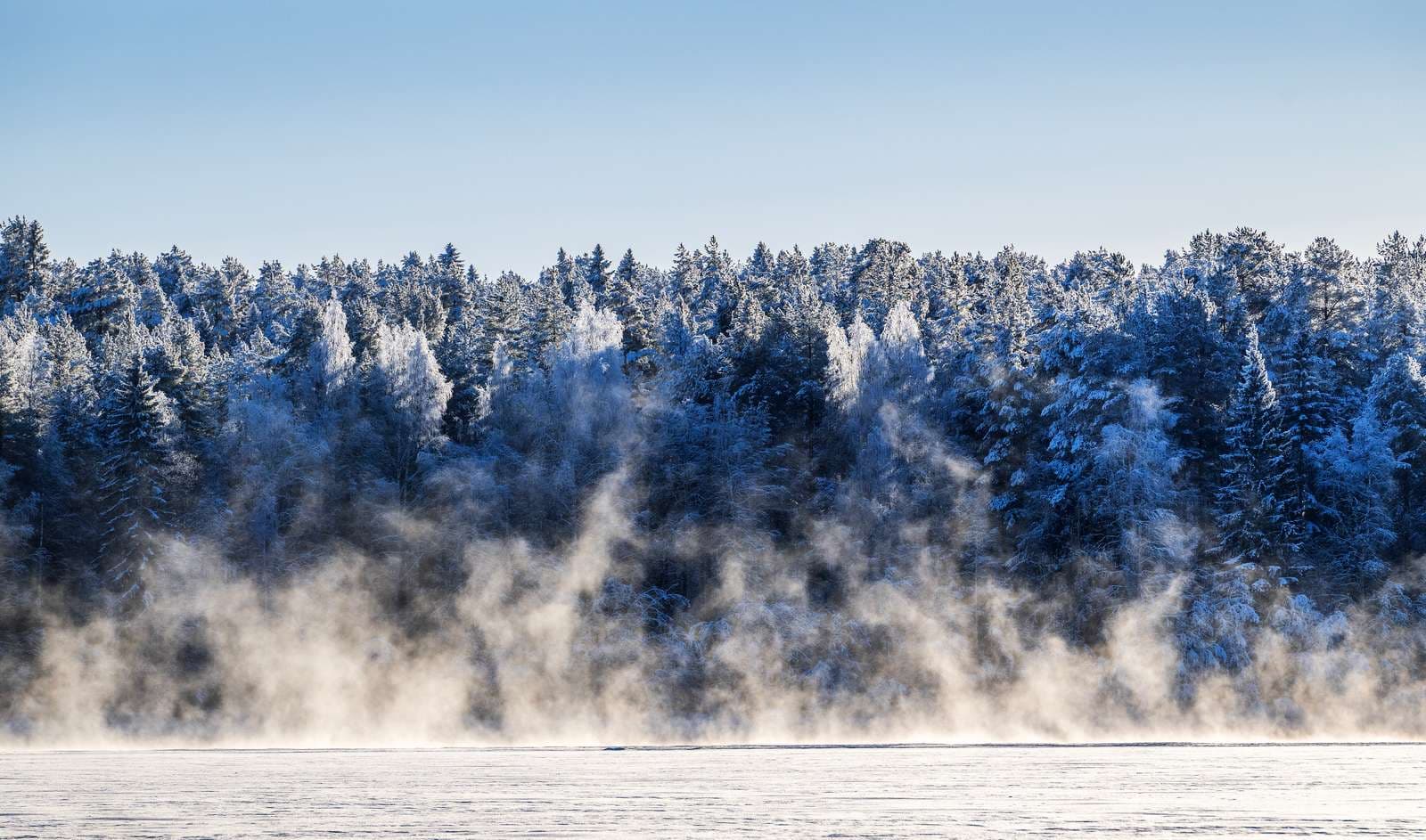 vacker utsikt över isen och naturen i luleå