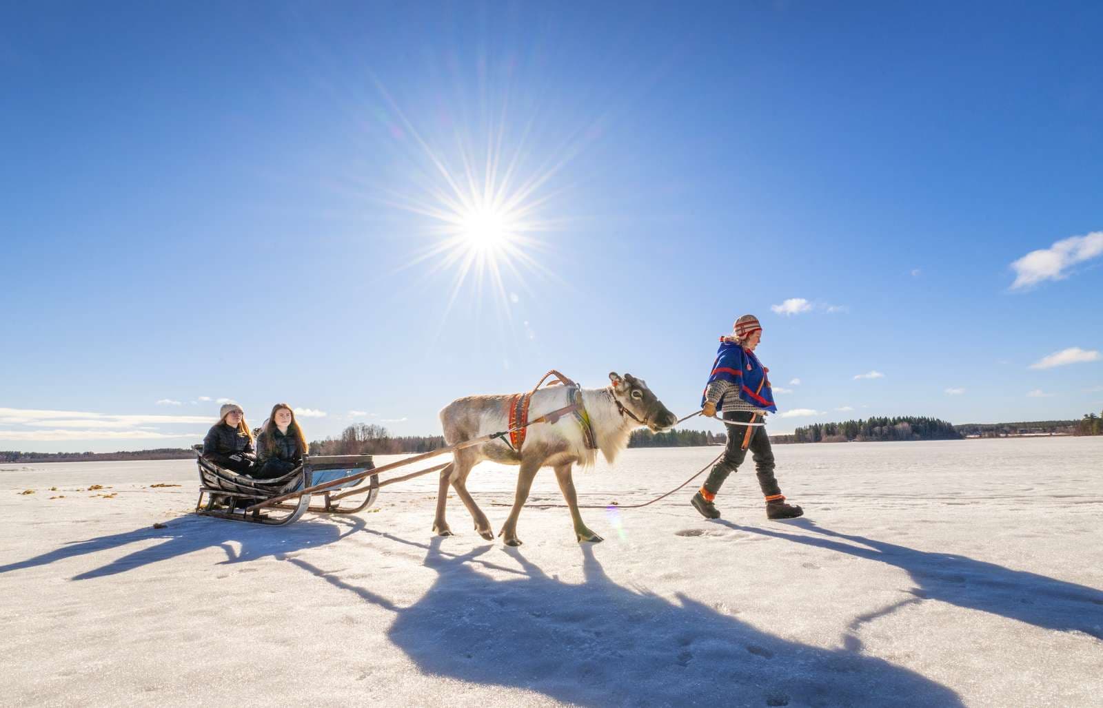 Två personer som åker släde efter en ren ute på isen vid arcus - luleå