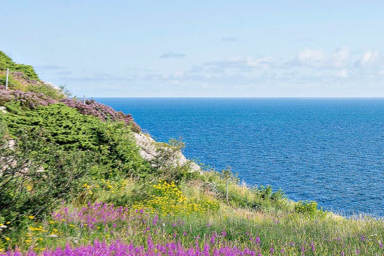 Mölle campingplats