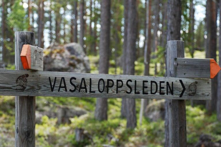 MTB på Vasaloppsleden i Mora