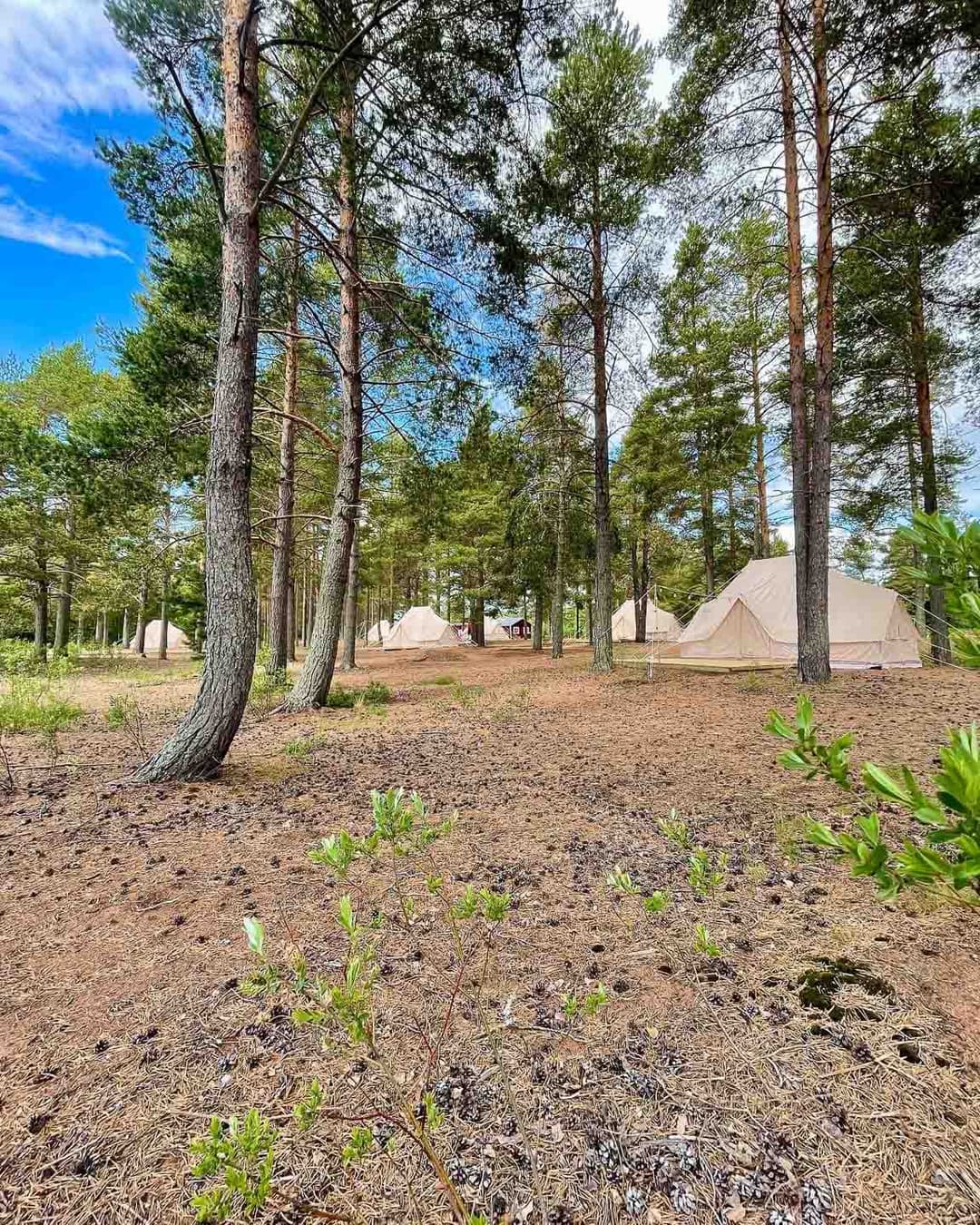 Glamping Upplev lyxen med glamping i Sverige First Camp