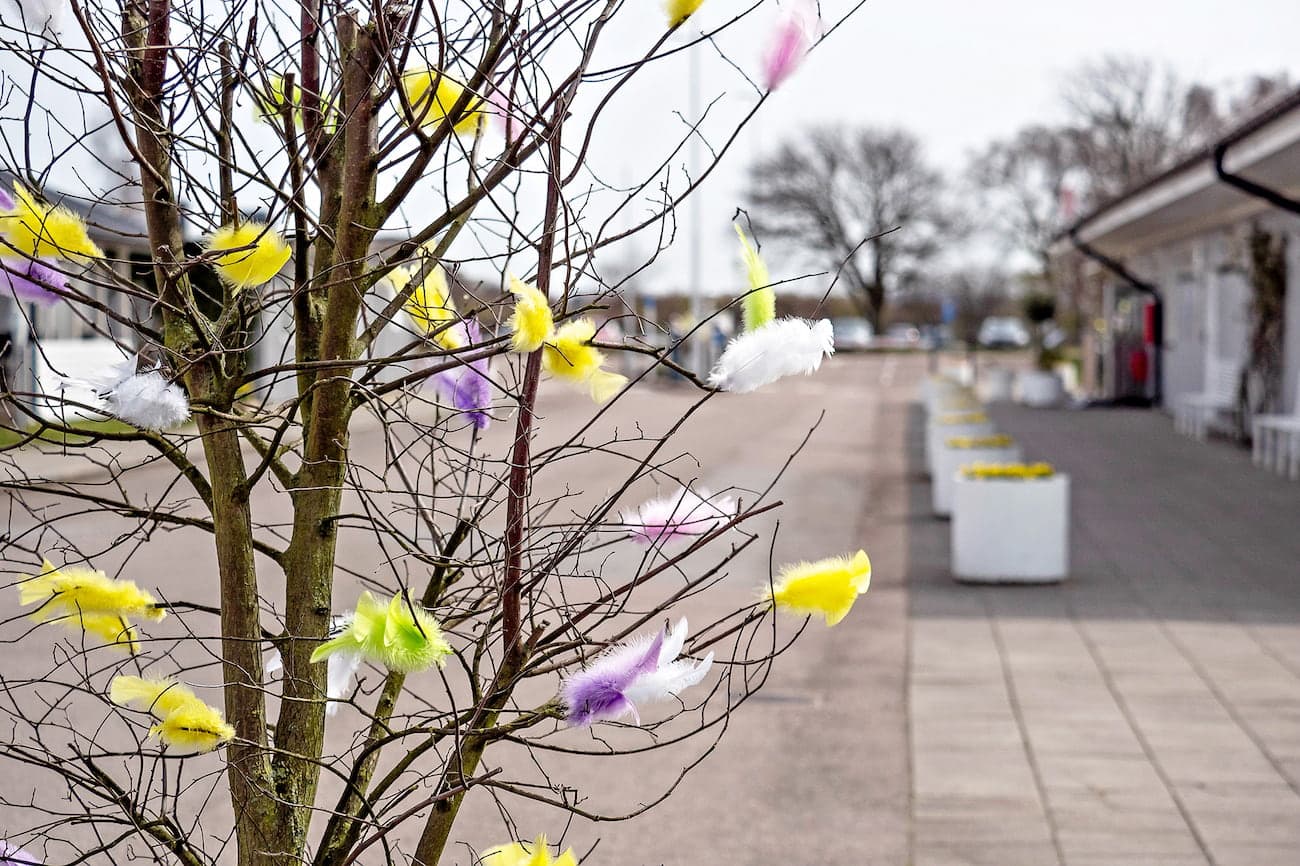 Påsk First Camp Yessi