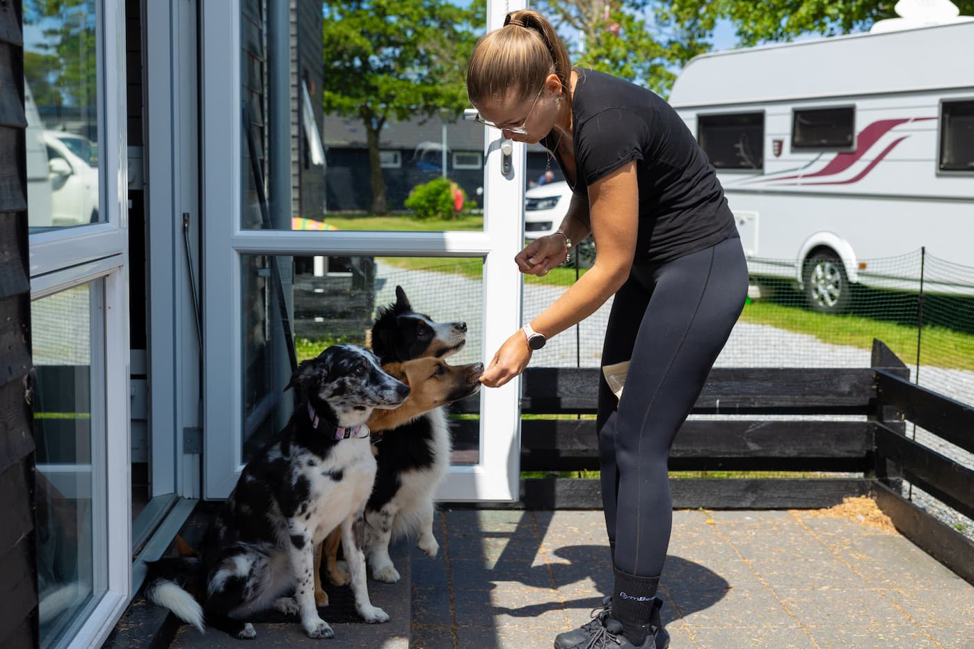 Hundvänlig vistelse vid Grenen Strand - Skagen