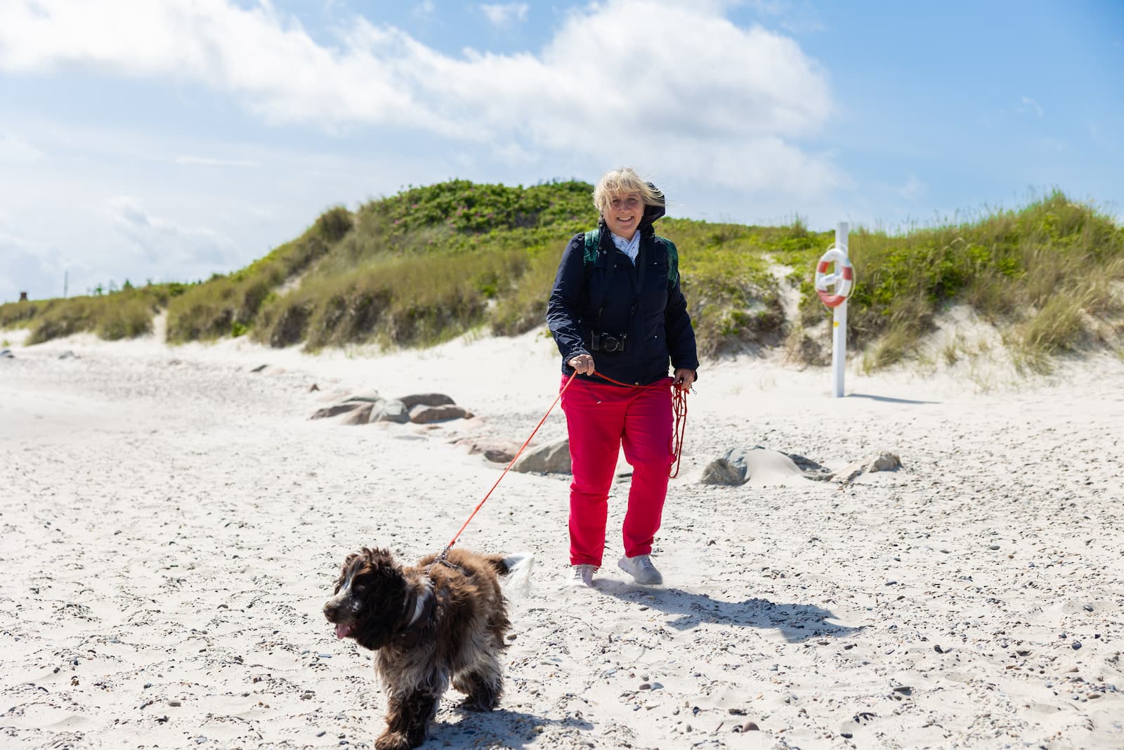 Hundvänlig vistelse vid Grenen Strand - Skagen