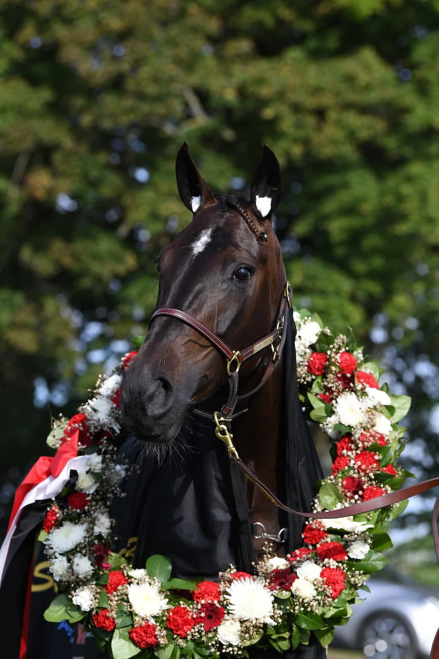 Axevalla travbana - Skara Sommarland