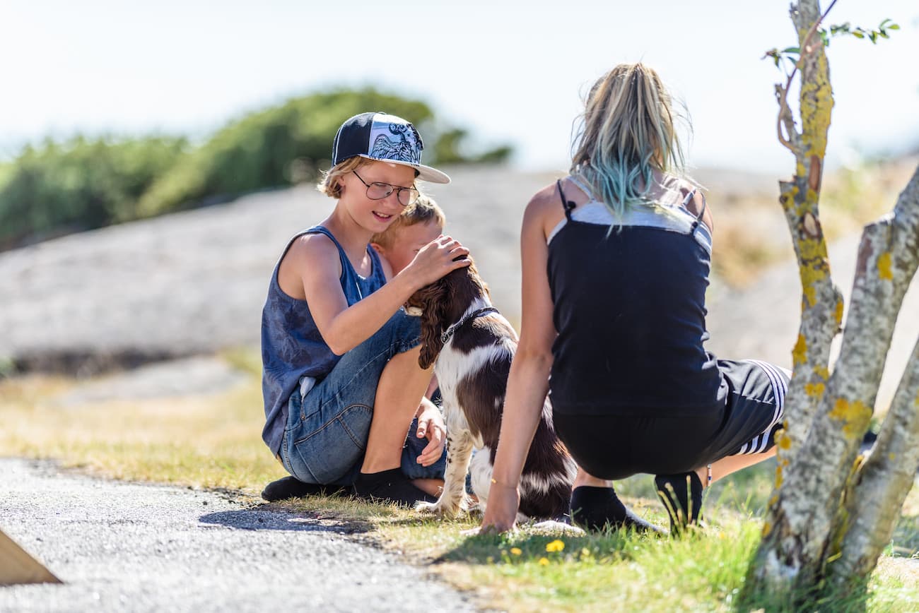 Semestra med hund på över 70 destinationer i Sverige, Norge och Danmark.