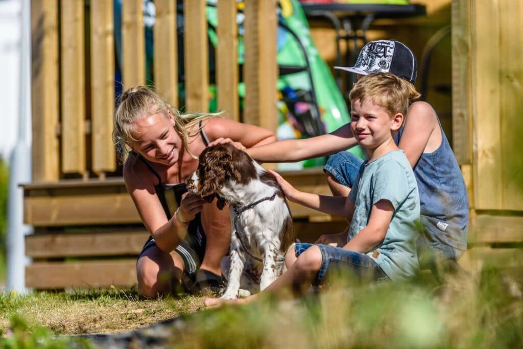 Hunvändlig semester i stuga på First Camp Solvik - Kungshamn