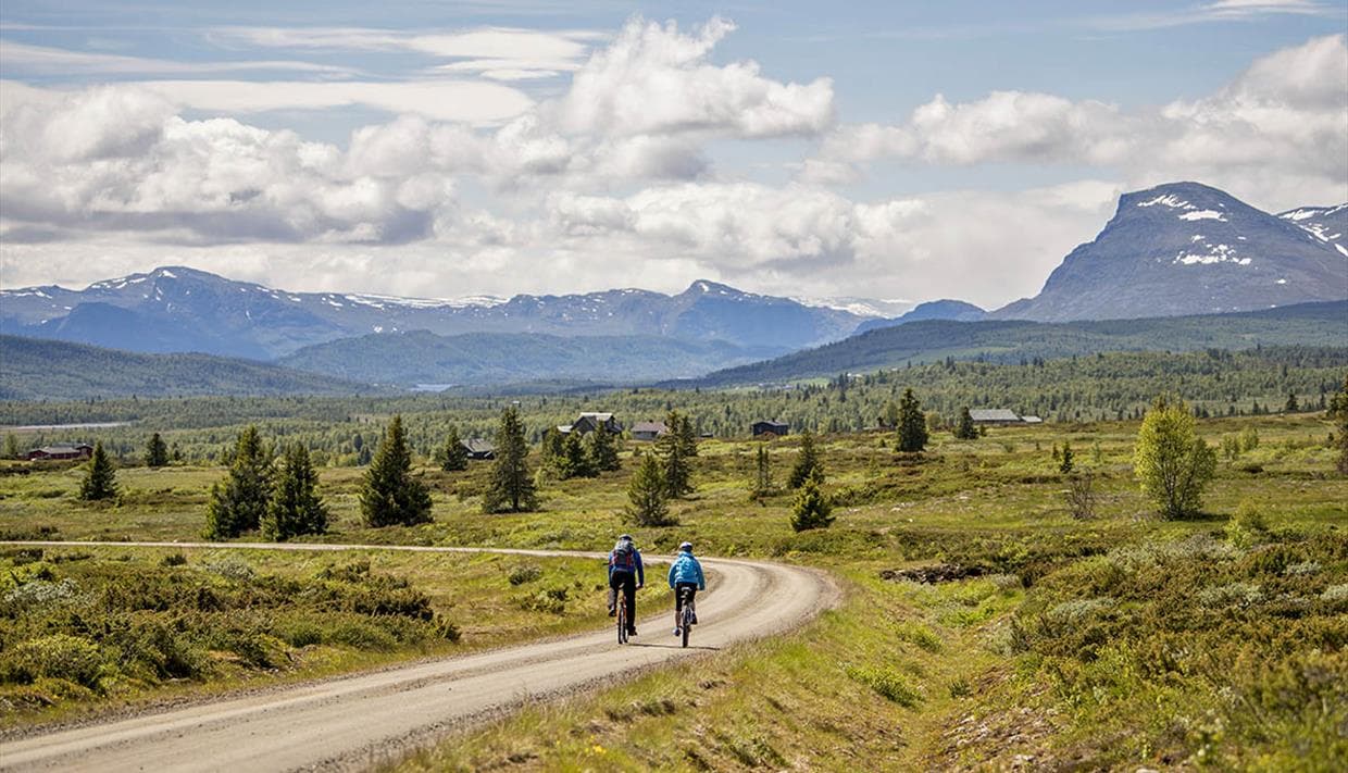 Cyklist på Mjølkevegen genom fjällandskap och fäbodmiljö i Valdres