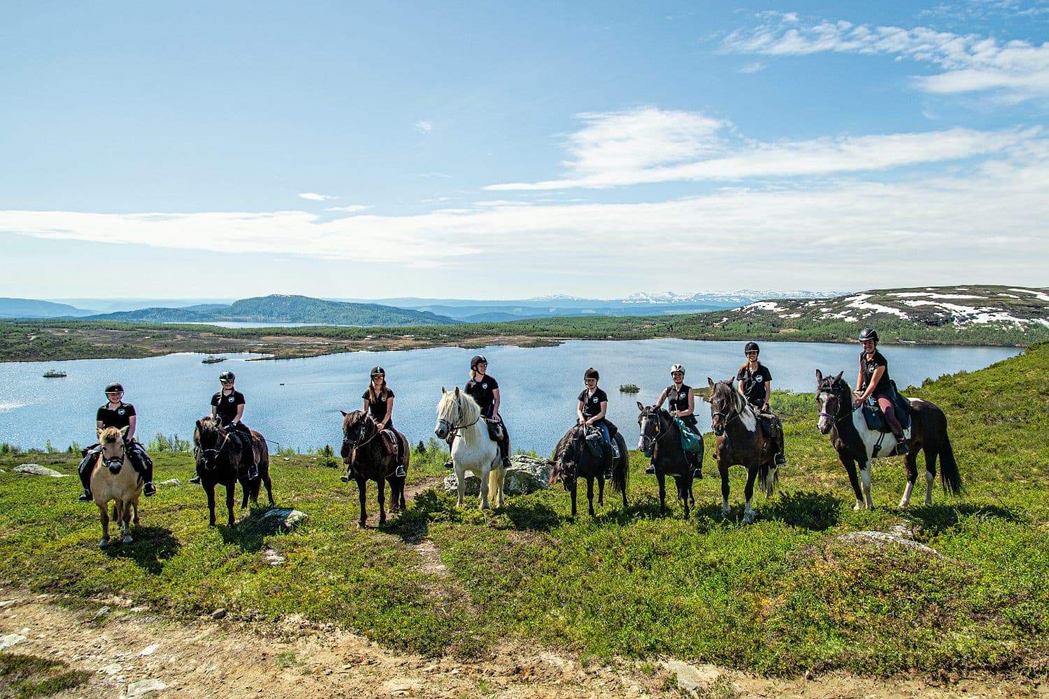 Fjällridning i Betiostolen med Myhre Gård fjellridning