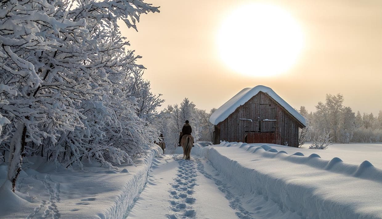 Ridtur i snötäckt fjällandskap nära Beitostølen med häst och ryttare