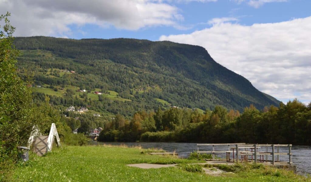Skog och berg vid vattnet.