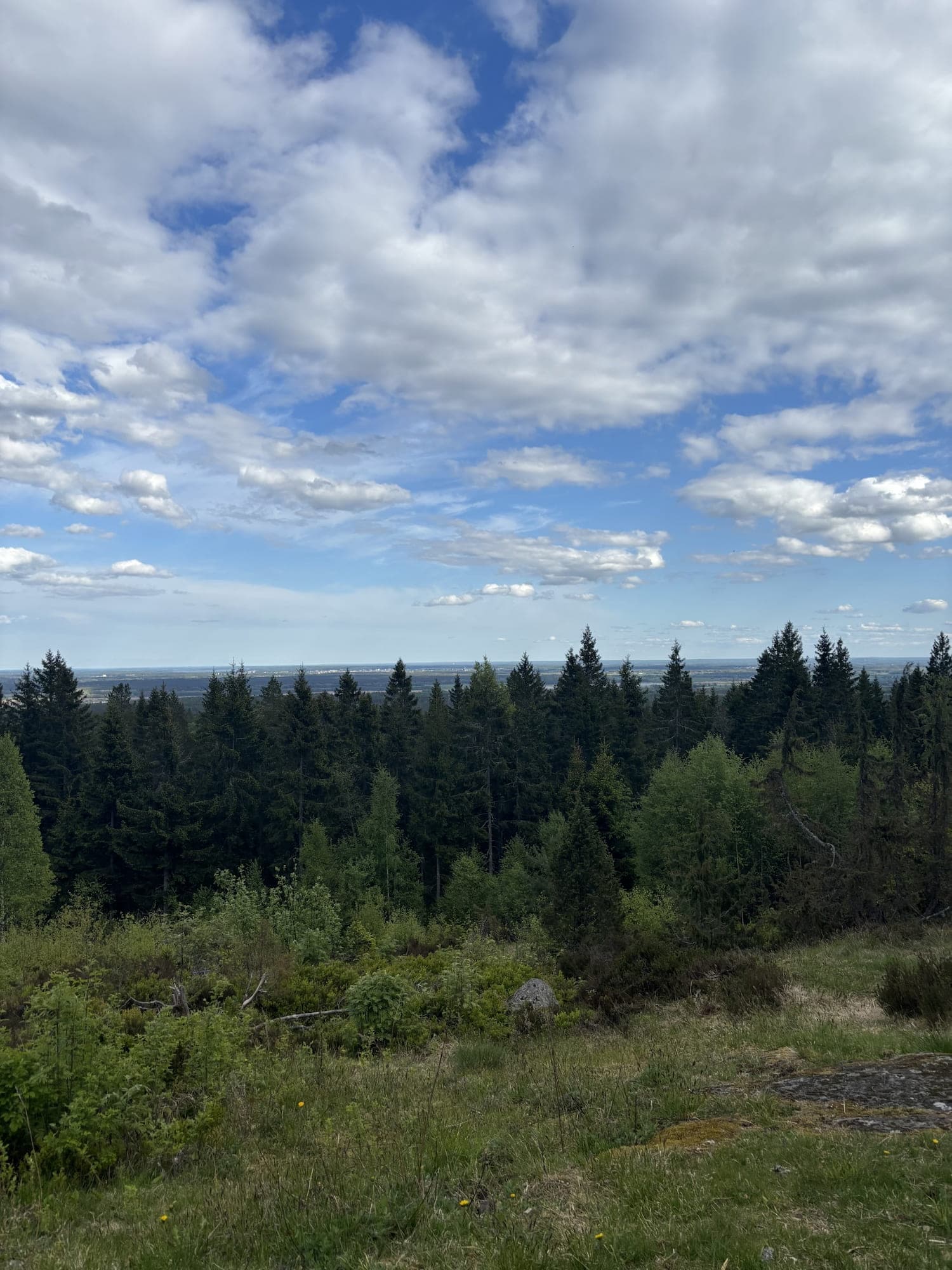 Utsikt över garphyttans nationalpark i närheten av First Camp Ånnaboda.