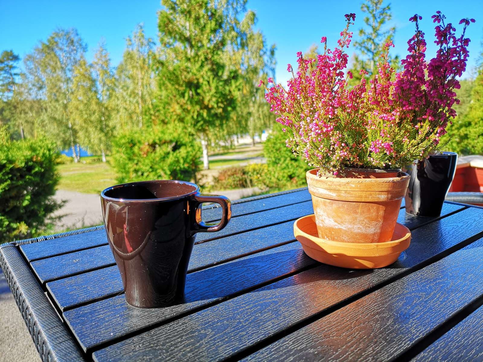 En kaffekopp och blomma på ett bord i solen.