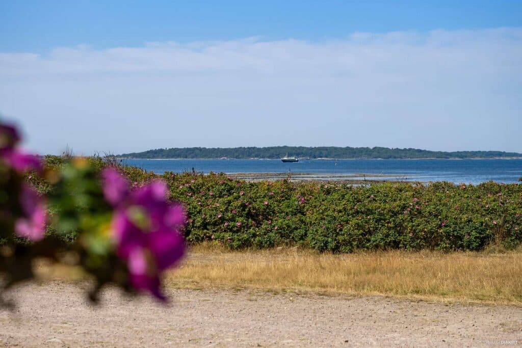 Havsnära camping med utsikt i Båstad på First Camp Torekov