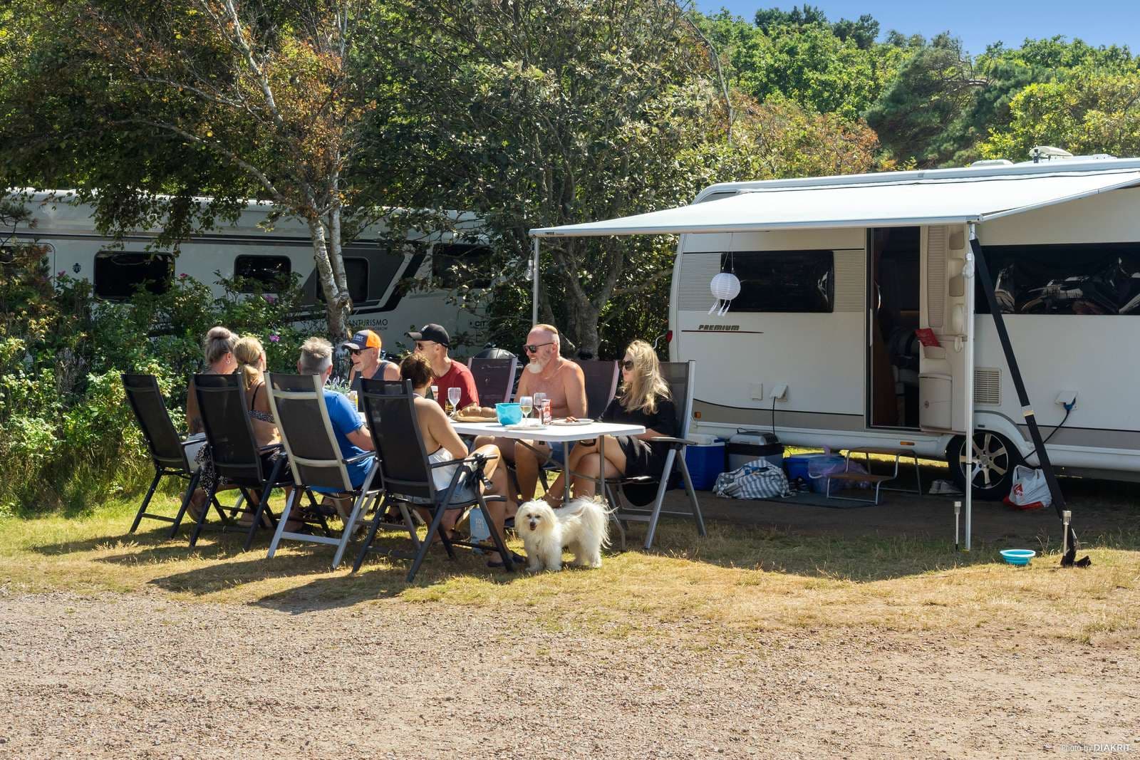 Kompisar som campar på First Camp Torekov - Båstad