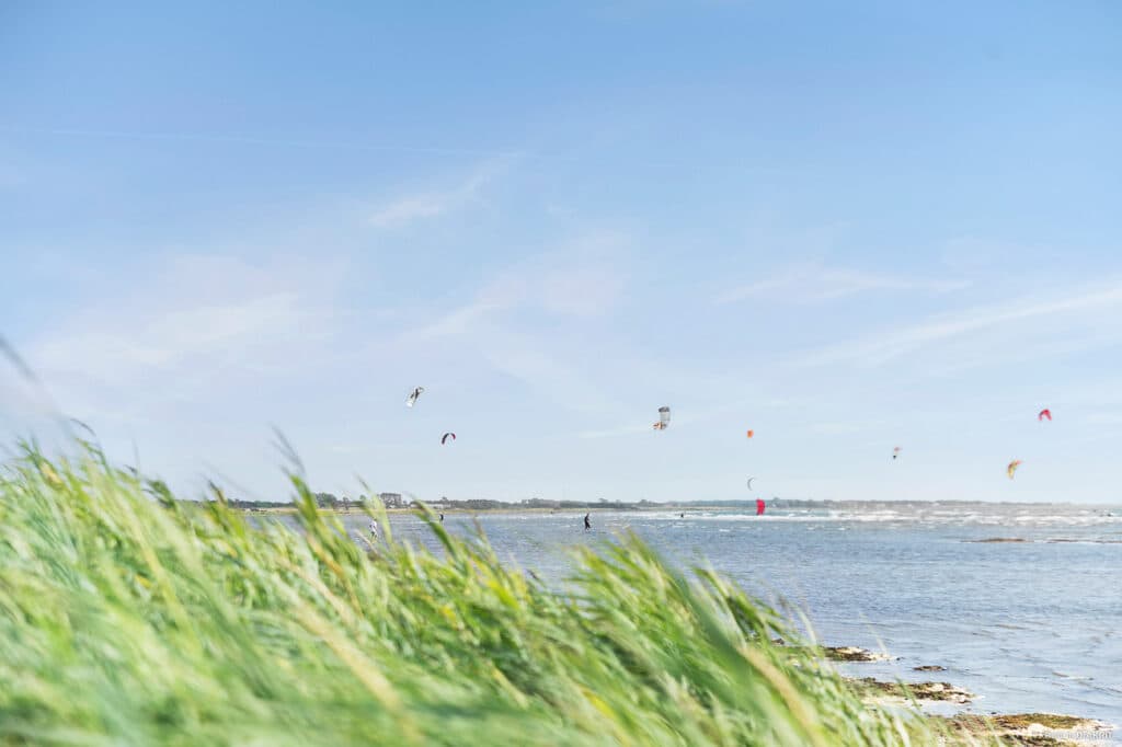 Boende längs Kattegattleden nära Varberg