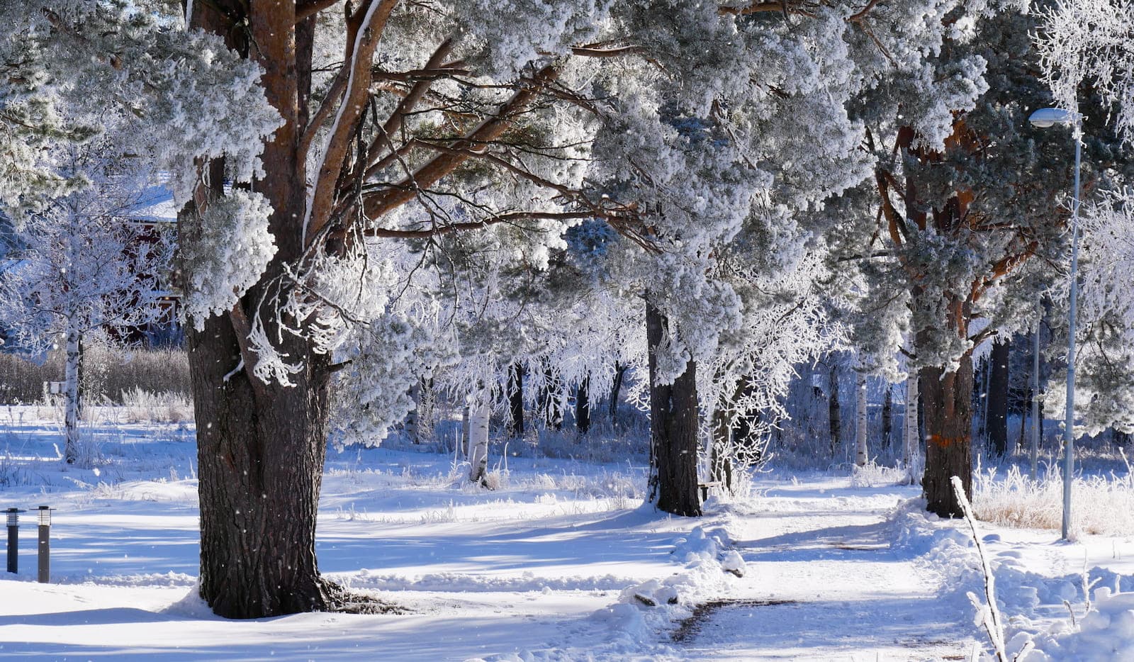 Vinter i Dalarna på First Camp Orsa - Dalarna Camping