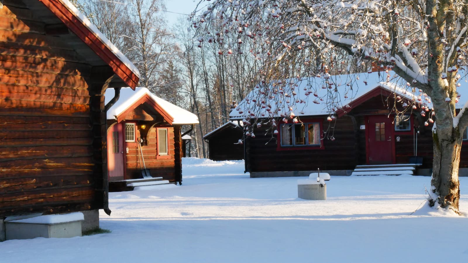 Vinter i Dalarna på First Camp Orsa - Dalarna Camping