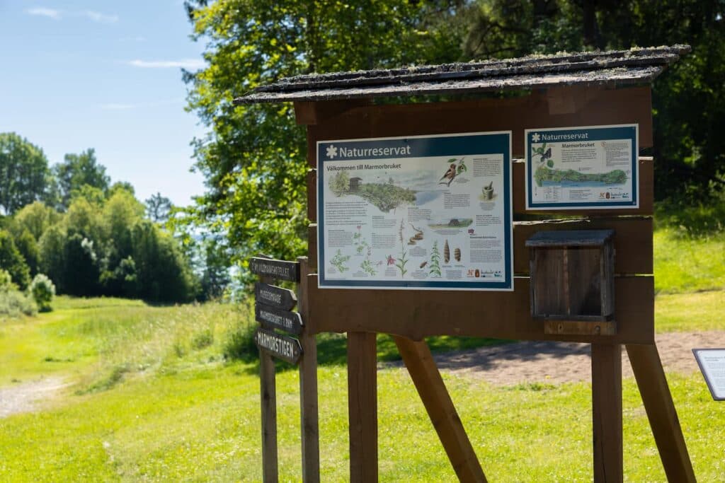 First Camp Kolmården – Norrköping – camping nära djurpark och Bråviken med stugor och naturnära upplevelser.