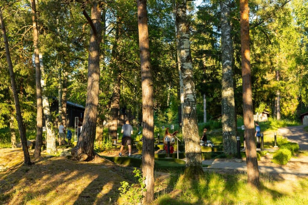 First Camp Kolmården – Norrköping – camping nära djurpark och Bråviken med stugor och naturnära upplevelser.