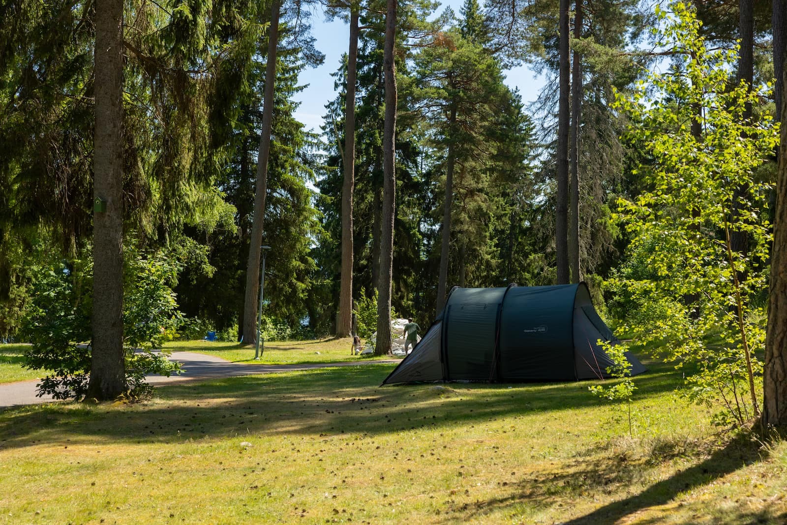 First Camp Kolmården – Norrköping – camping nära djurpark och Bråviken med stugor och naturnära upplevelser.