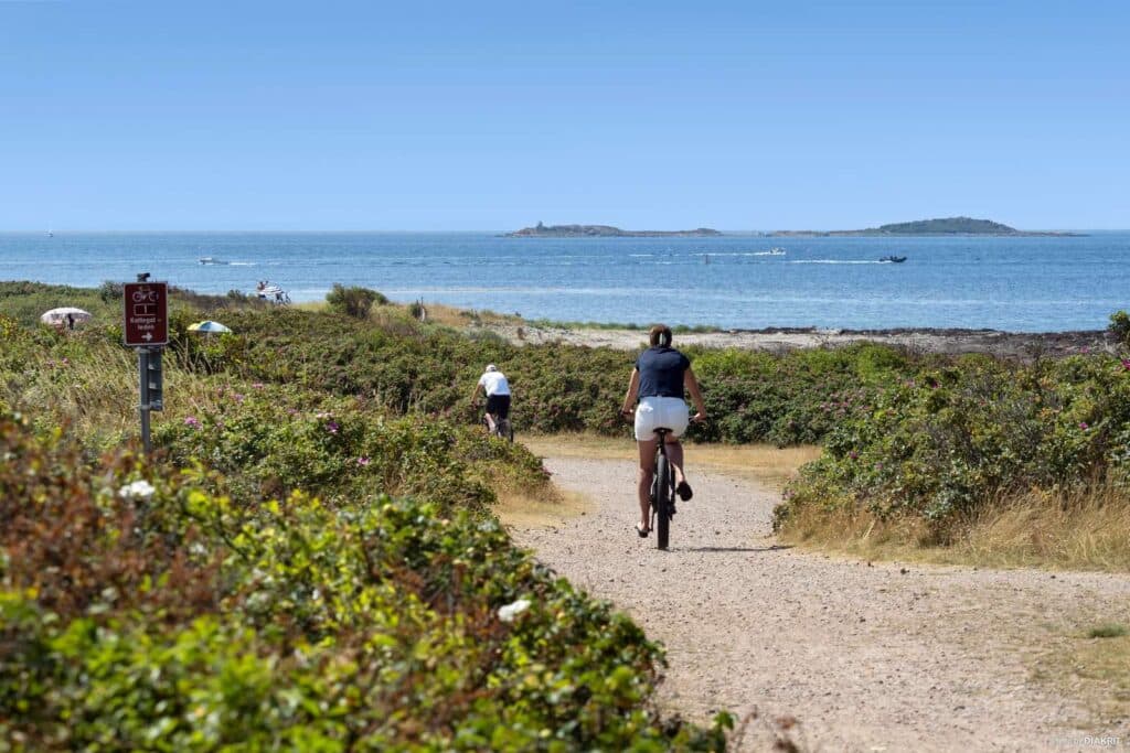Cykelsemester längs Cykelleden Skåne