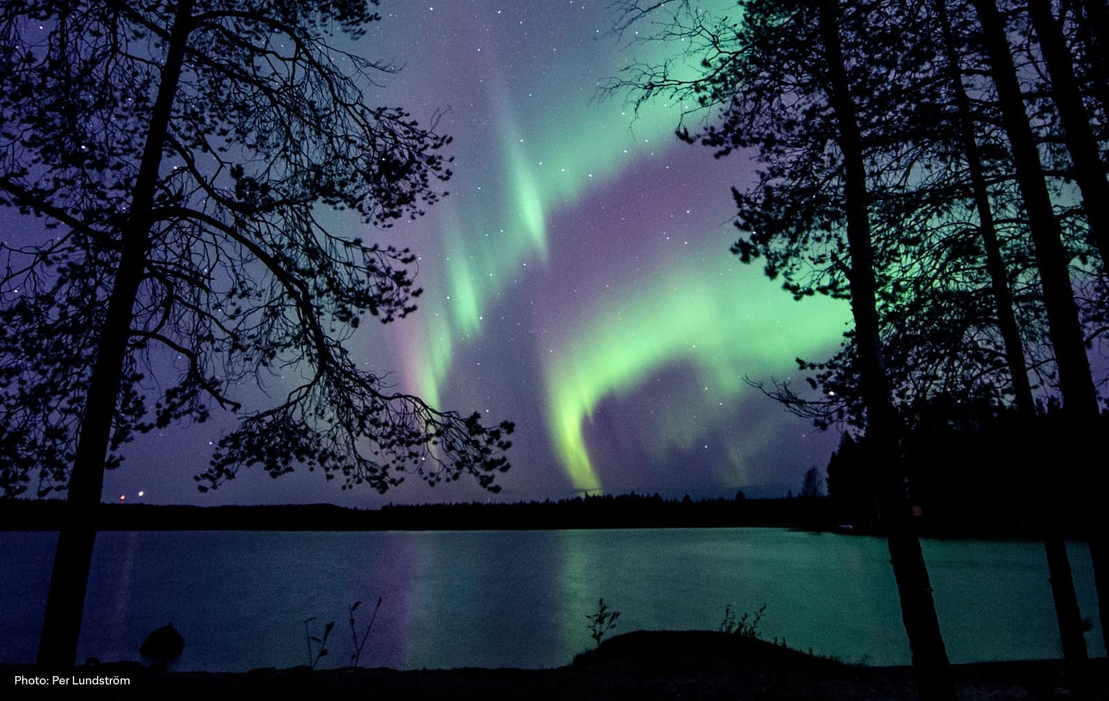 Ansia - Lycksele vintercamping. Foto: Per Lundström