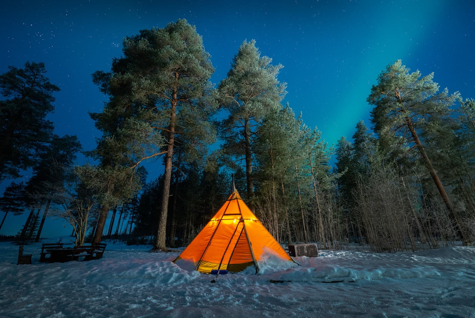 Vinteraktiviteter på Arcus - Luleå