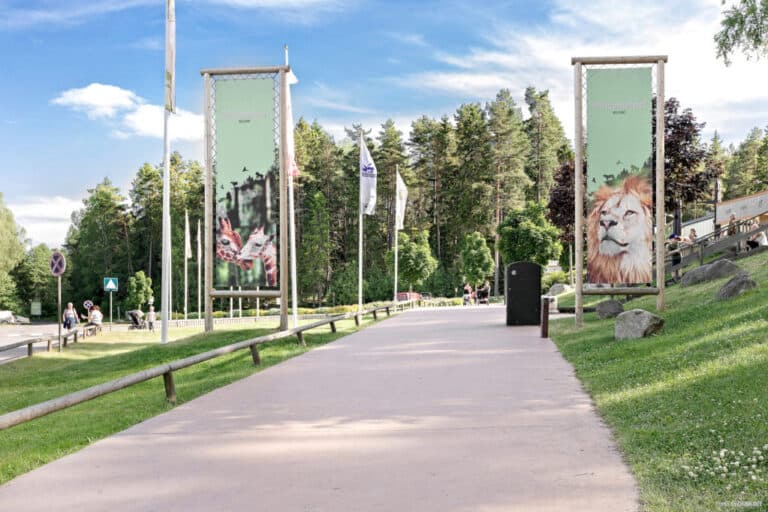 Barnsemester - kolmårdens djurpark