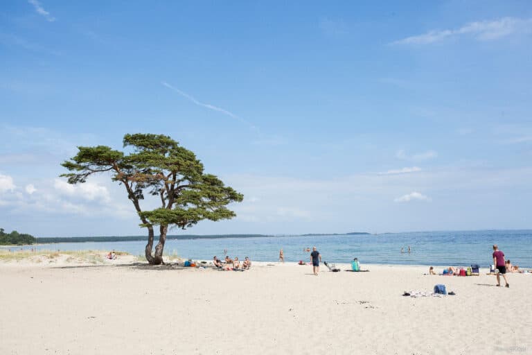 Åhus strand