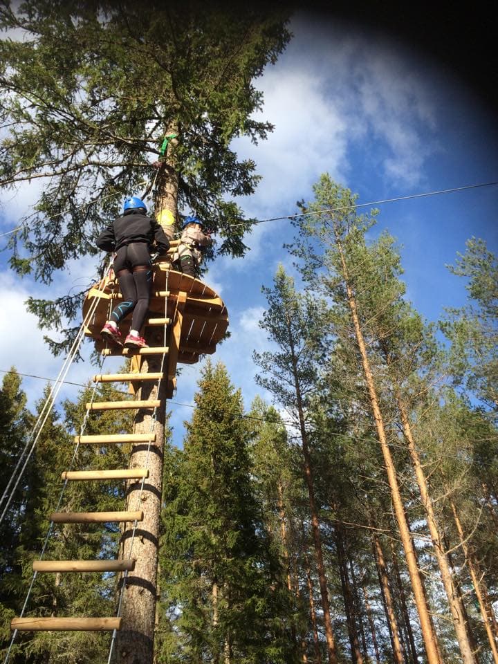 Klatring i trestige Høyt og Lavt klatrepark Bø