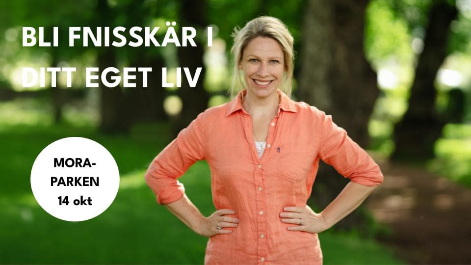 Evenemang på Moraparken