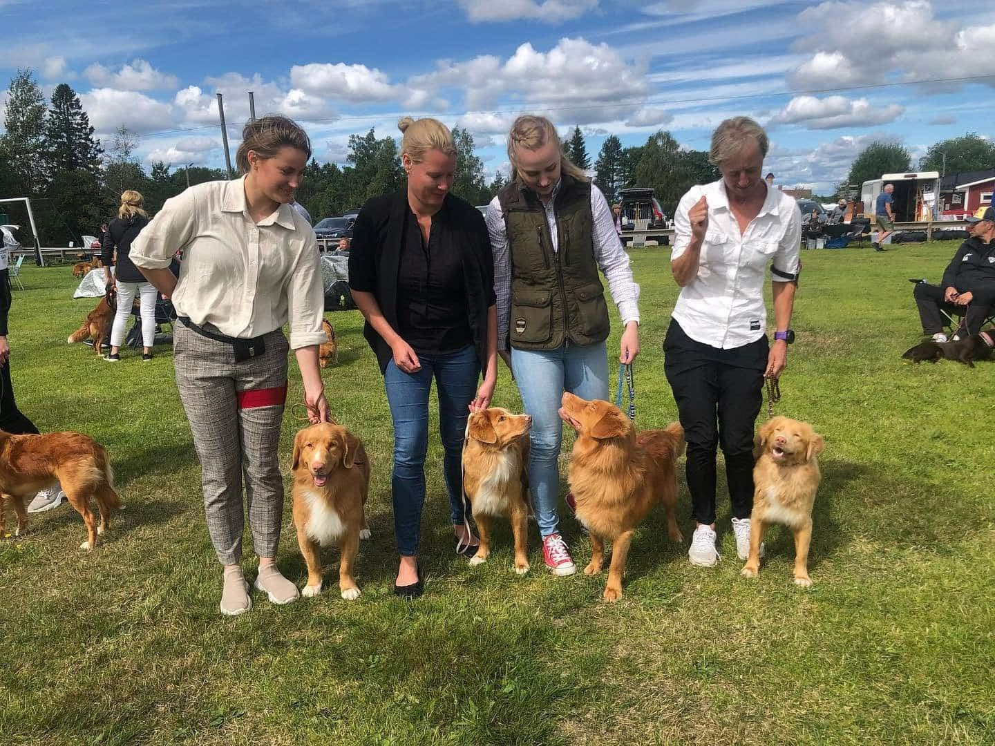 Ånnaboda - Örebro, hundträff tollare