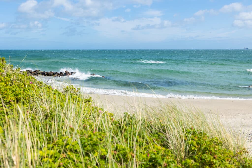 Sandstrand vid Grenen Strand i Skagen med utsikt över havet