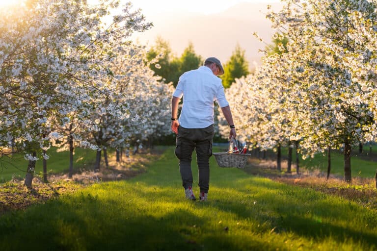 Fruktbygda Gvarv Telemark Norge