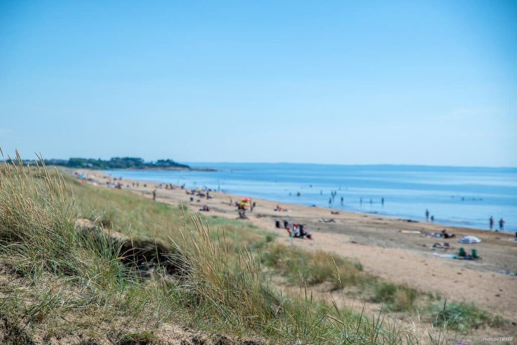 Hagön - Halmstad strand