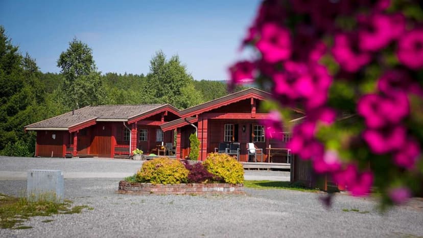 Bø – Telemark | Camping med Fjäll, bad och vacker natur