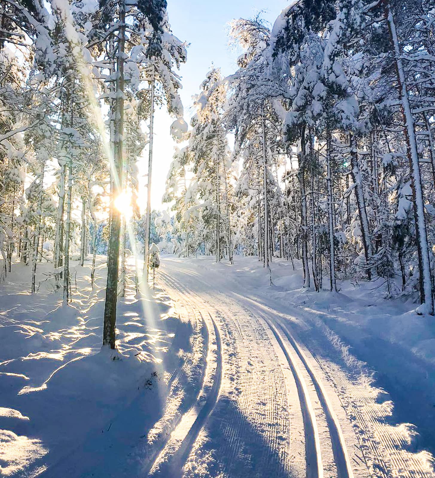 Bø – Telemark | Camping med Fjäll, bad och vacker natur